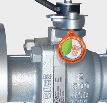 APV-Australian Pipeline Valve - APVAPV Valve Supplier Float and Trunnion Ball Check Gate Globe Plug